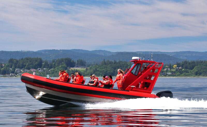 Vancouver, BC: Whale Watching Tour Small Zodiac with Guide - Why a small zodiac works so well for Vancouver whales