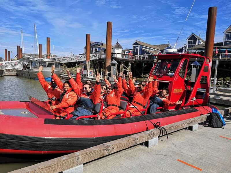 Vancouver, BC: Whale Watching Tour Small Zodiac with Guide - Price and value: what $160 buys you in the real world