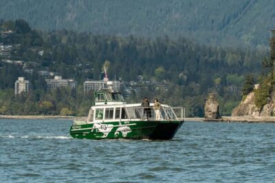 Vancouver: Catamaran Whale Watching Tour, Granville Island - Meeting at Wild Whales Vancouver on Granville Island