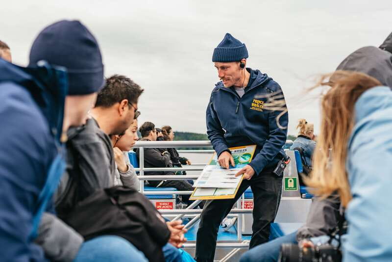 Vancouver: Covered Whale Watching Adventure with Free Photos - The cruise rhythm: how a 3–5 hour outing plays out in real life