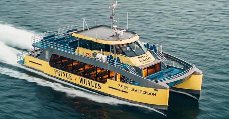 Vancouver: Covered Whale Watching Adventure with Free Photos - What’s included (and what’s not): plan your spending and comfort