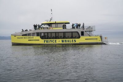 Vancouver Half-Day Whale Watching Adventure with Free Photos - Naturalist narration: what you actually learn while you’re spotting