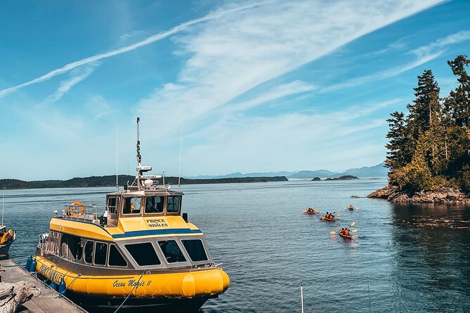 Vancouver Island Half-Day Whale Watching Tour - Telegraph Cove - Telegraph Cove, Johnstone Strait, and Why This Route Gets Results