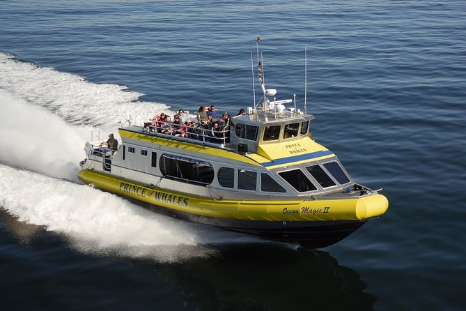 Vancouver Island Half-Day Whale Watching Tour - Telegraph Cove - Boarding and Onboard Comfort: Restroom, Coffee/Tea, and Warmth