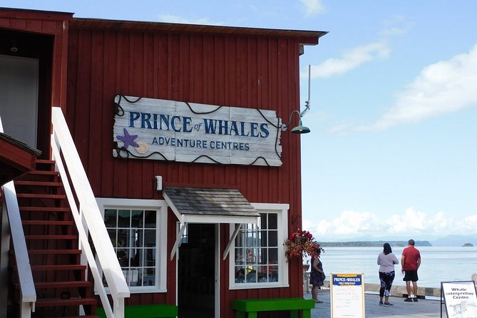 Vancouver Island Half-Day Whale Watching Tour - Telegraph Cove - The Included Professional Photo Package (Yes, It’s a Big Deal)