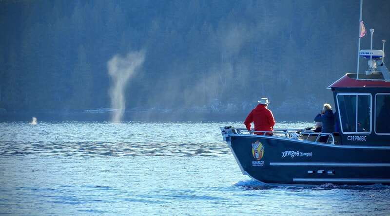Vancouver Island: People Water Land - Indigenous & Whales - Salish Sea whale watching from inside/outside seating