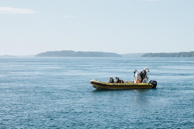 Vancouver Island Zodiac Whale Watching Adventure - Telegraph Cove - Johnstone Strait Wildlife: What You’re Really Watching For