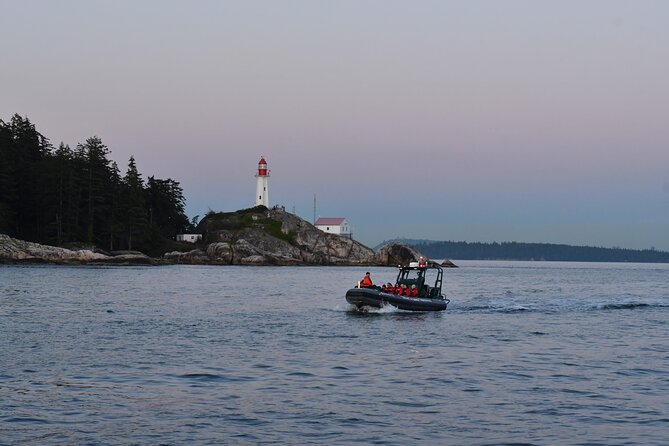 Vancouver's Intimate West Coast Whale Watching Experience - Price and what you’re really paying for at $177.59