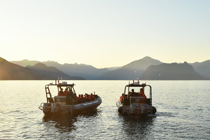 Vancouver's Intimate West Coast Whale Watching Experience - Break time back at Granville Island: Public Market and lunch plans