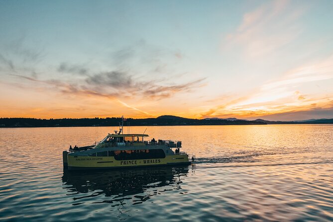 Vancouver Sunset Whale Watching Adventure with Free Photos - Who you’re sailing with: captains and naturalists that spot what you’d miss