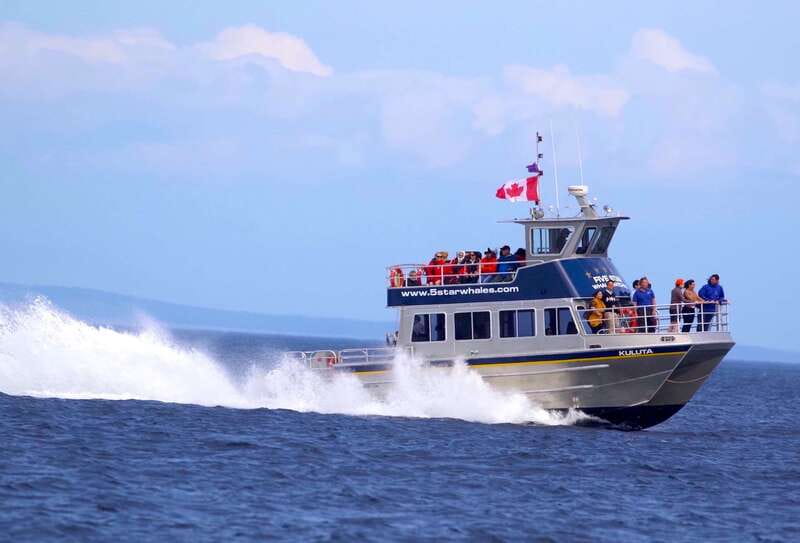 Victoria BC: 3-Hour Whale Watching Expedition - Responsible Whale Watching: Safety Distance and Real Rules