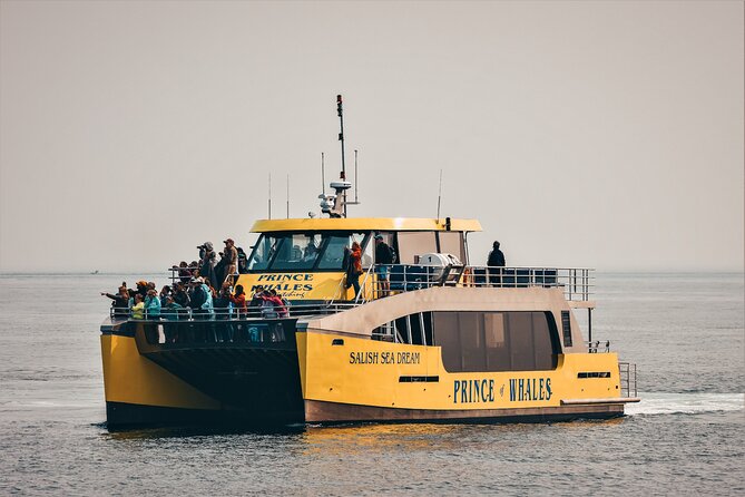 Victoria Half-Day Whale Watching Adventure with Free Photos - Heated cabin comfort vs open deck views