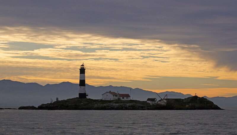 Victoria: Sunset Whale Watching Tour on Semi-Covered Boat - Sunset timing out of Victoria Harbor: why the 3 hours feels right