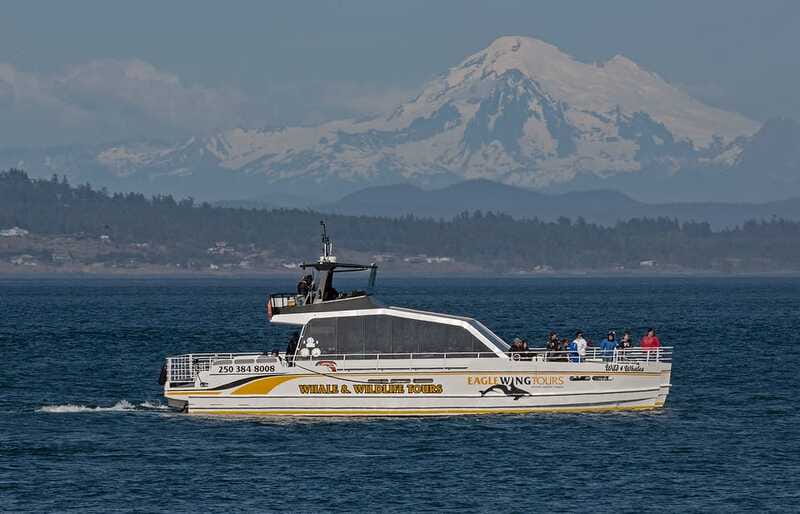 Victoria: Sunset Whale Watching Tour on Semi-Covered Boat - Semi-covered catamaran comfort: bathrooms and provided gear