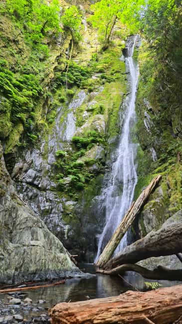 Victoria Waterfall, Skywalk, Beach Picnic, Castle and Whales - Key reasons this tour is worth your time