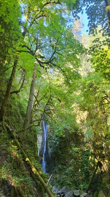 Victoria Waterfall, Skywalk, Beach Picnic, Castle and Whales - Climbing the Malahat: the Skywalk tower and 360-degree coastal views