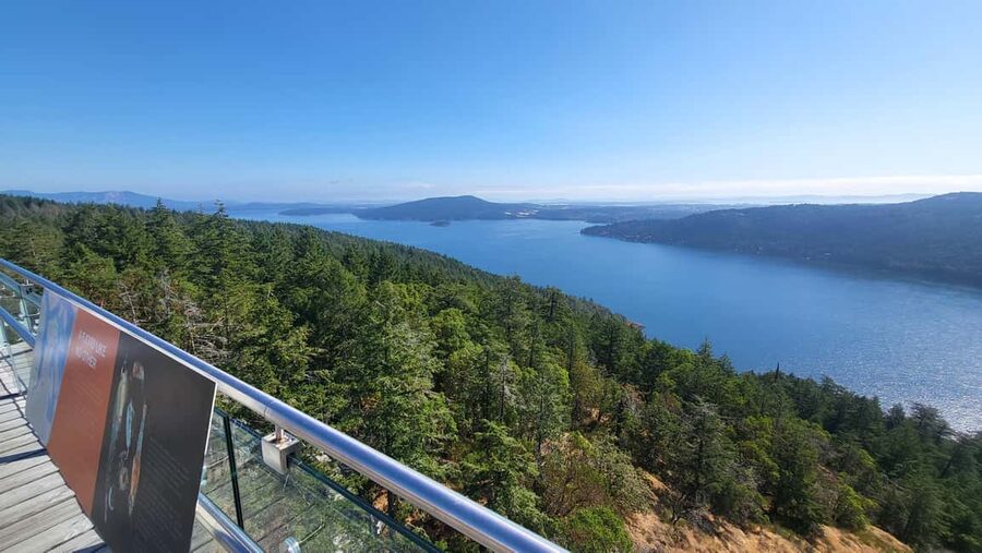 Victoria Waterfall, Skywalk, Beach Picnic, Castle and Whales - Price and value: what $219 actually buys you