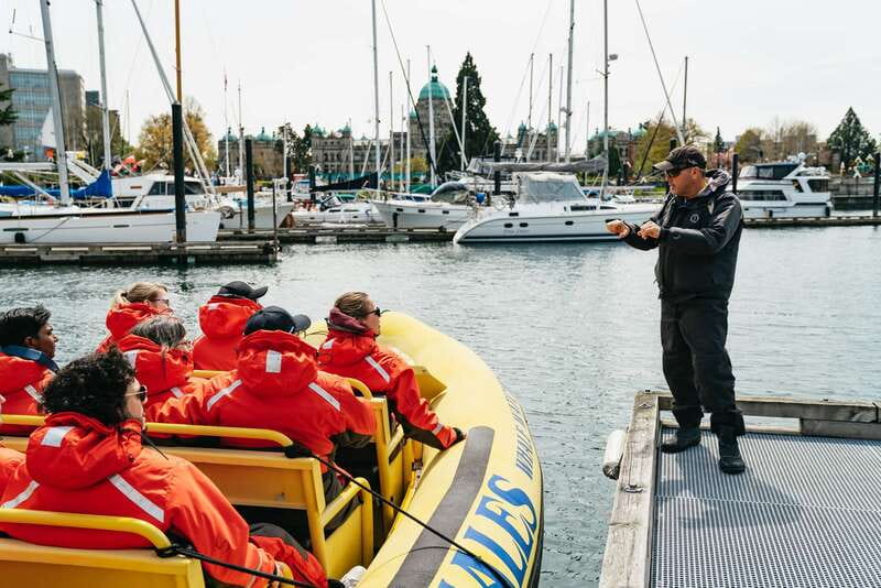 Victoria: Whale Watching Adventure in a Zodiac Boat - Key Things You’ll Notice on This Whale-Watching Adventure