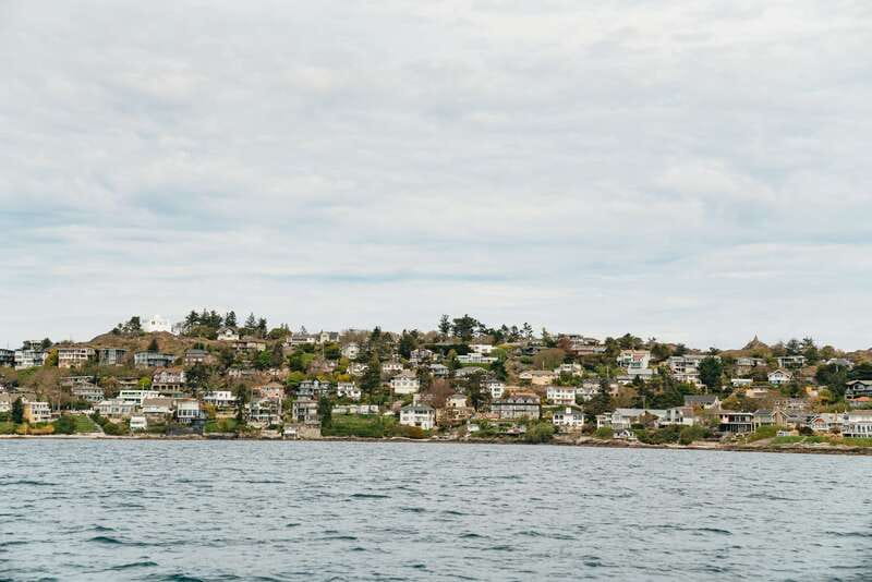 Victoria: Whale Watching Adventure in a Zodiac Boat - Whale Sighting Guarantee: What It Changes for Your Planning