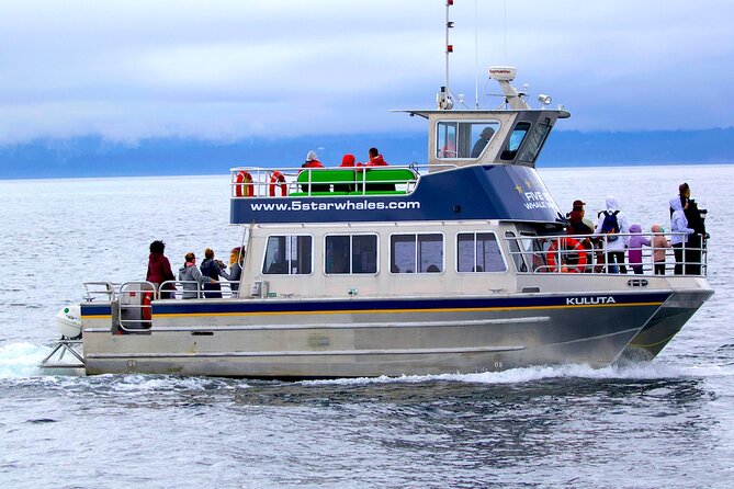 Victoria Whale Watching Cruise with Expert Naturalists - Key highlights you’ll feel right away