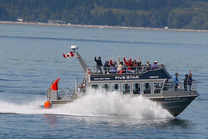 Victoria Whale Watching Cruise with Expert Naturalists - Why Victoria whale watching in the Salish Sea hits different