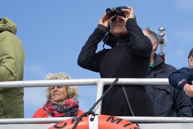 Victoria Whale Watching Tour on a Covered Vessel - How the Covered Boat Changes the Whole Whale-Watching Game