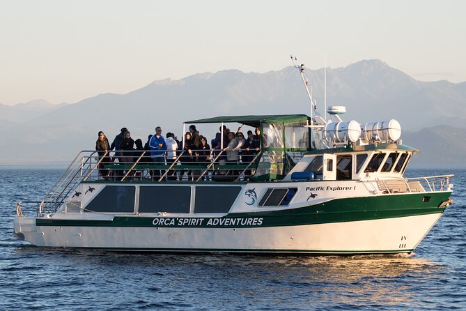 Victoria Whale Watching Tour on a Covered Vessel - The Viewing Deck Setup: Why You’ll Get Better Seats for Better Moments