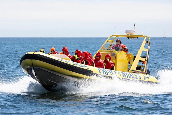 Victoria Zodiac Boat Whale Watching Adventure - Price and value: what you’re really paying for at $154.08