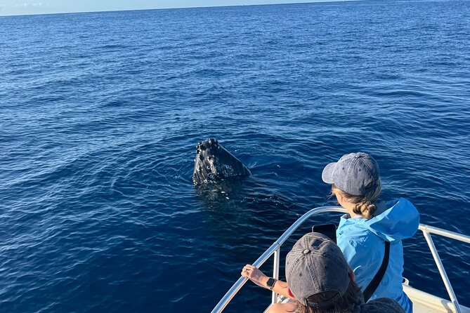 VIP Premiere Whale Watch Kaanapali Beach MAX 12 PASSENGERS - VIP Premiere small-boat setup: up to 12 passengers and quick maneuvering