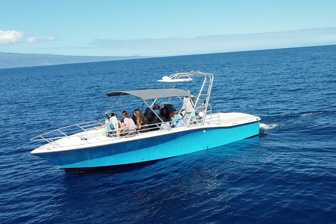 VIP Premiere Whale Watch Kaanapali Beach MAX 12 PASSENGERS - Humpback whale viewing: breaches, tail slaps, and mom-and-calf moments