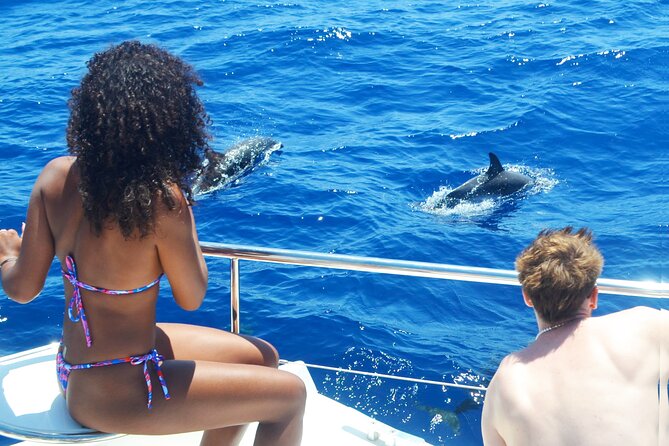 VipDolphins Luxury Whale Watching - From Praça do Povo to open water: what your first moments are like
