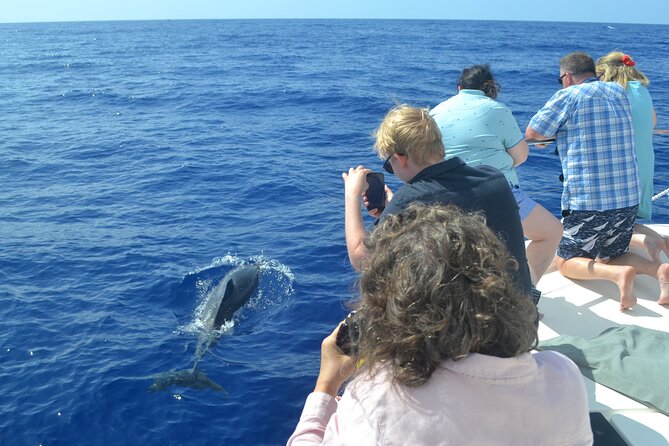 VipDolphins Luxury Whale Watching - The Cabo Girao swim and snorkeling stop you’ll actually remember