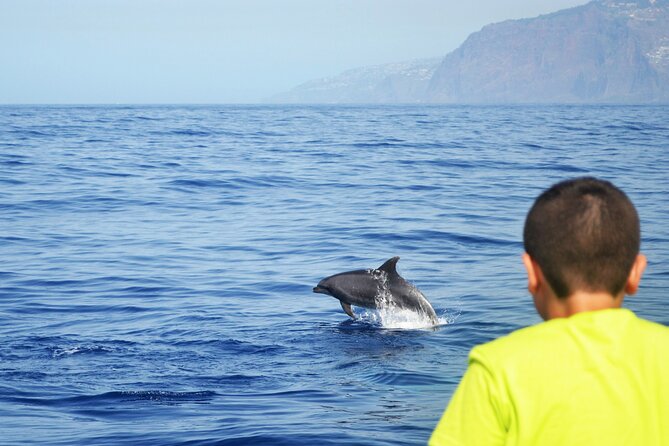 VipDolphins Luxury Whale Watching - Drinks, snacks, and comfort details for a 3-hour catamaran