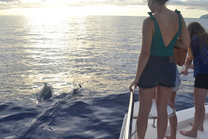 VipDolphins Luxury Whale Watching - Crew energy: friendly, responsive, and good at answering questions