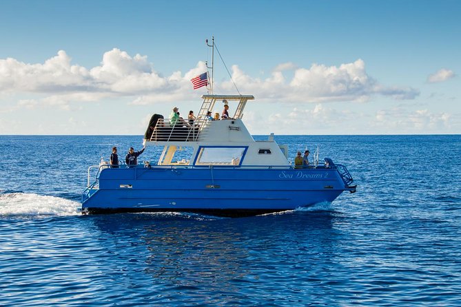 Waikiki Deluxe Catamaran Whale Watch - Whale sightings aren’t controlled, but the re-ride policy is