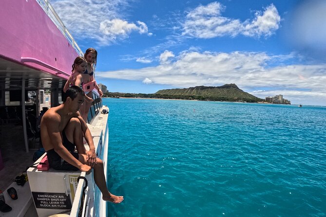 Waikiki, Oahu 2-Hour Whale Watching: Guaranteed Sightings - More wildlife than you expect: dolphins and green sea turtles