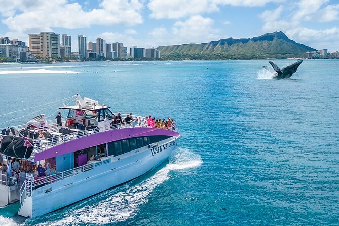Waikiki, Oahu 2-Hour Whale Watching: Guaranteed Sightings - The crew you want on your boat: Captain Jamie and the vibe