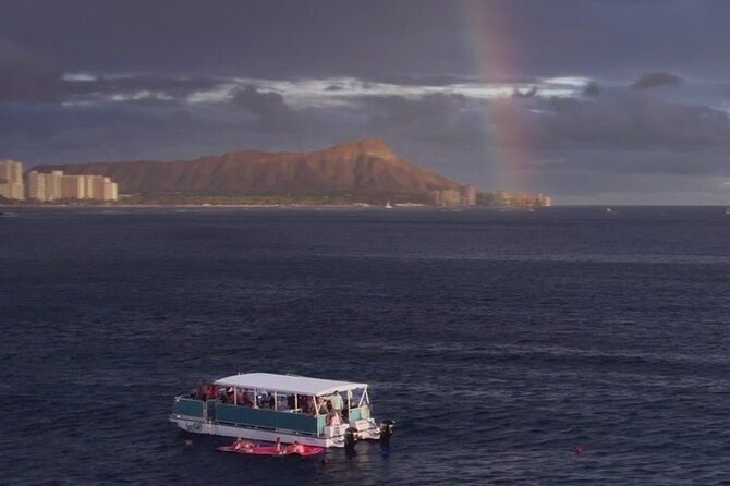 Waikiki Whale Watching Cruise - Waikiki and Diamond Head Views From the Water