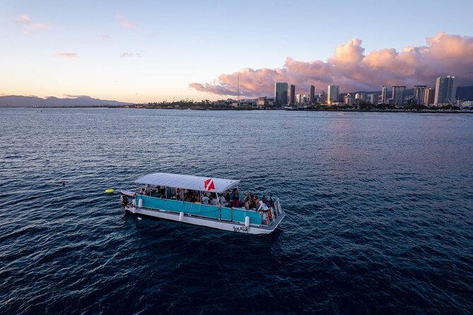 Waikiki Whale Watching Cruise - Weather, Timing, and Realistic Expectations