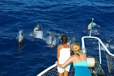 Waitukubuli Dolphin and Whale Watch in Dominica - Hydrophone magic: listening to whale songs while scanning the water