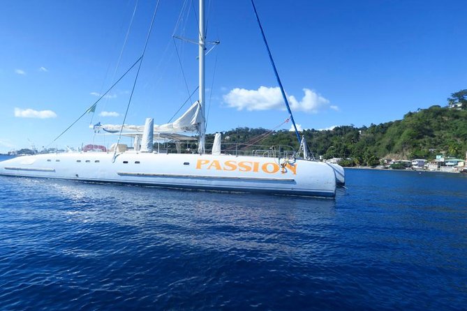 Waitukubuli Dolphin and Whale Watch in Dominica - Drinks and extras: what’s included besides the whales