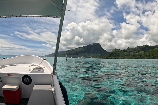 Watch and Swim with Humpback Whales in Moorea - Getting In the Water: Comfort Tips That Actually Help