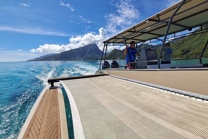 Watch and Swim with Humpback Whales in Moorea - Whale-Respect Protocols: Why They Matter for Your Experience