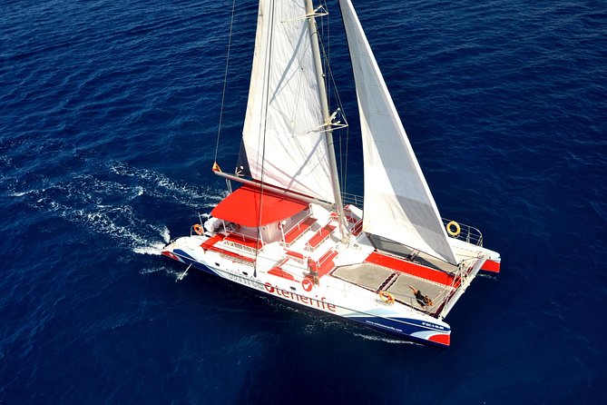 Watching and Listening Whales visiting Los Gigantes&Masca. Food&drinks included - Key things to know before you go