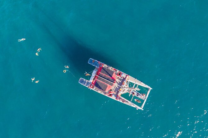 Watching and Listening Whales visiting Los Gigantes&Masca. Food&drinks included - Crew, comfort, and how the boat day stays pleasant