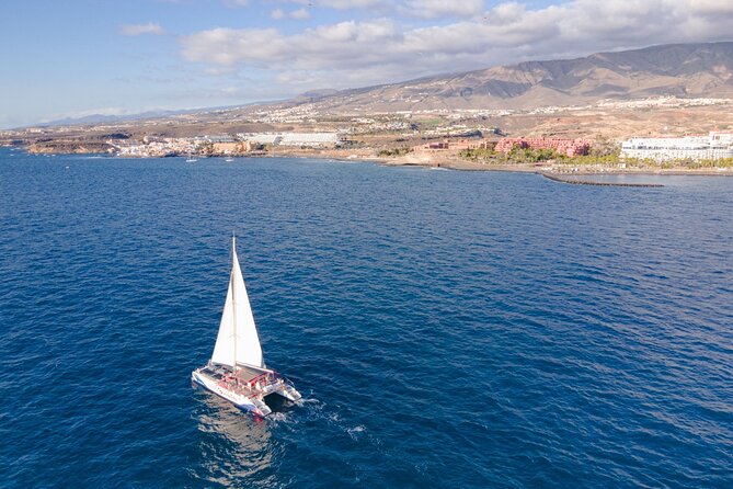 Watching and Listening Whales visiting Los Gigantes&Masca. Food&drinks included - Price and value: is $68.61 worth your time?