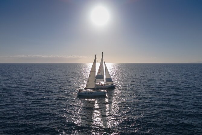 Watching and Listening Whales visiting Los Gigantes&Masca. Food&drinks included - Who this tour suits best