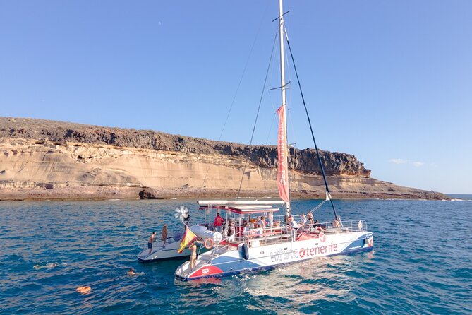 Watching and Listening Whales visiting Los Gigantes&Masca. Food&drinks included - Things to watch out for before you book