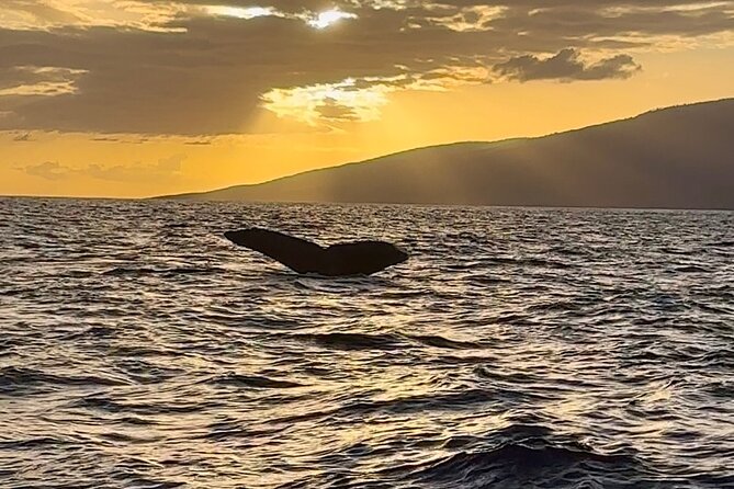 West Maui Sunset Whale Watch - How the Crew Makes the Difference (Names You May Hear)