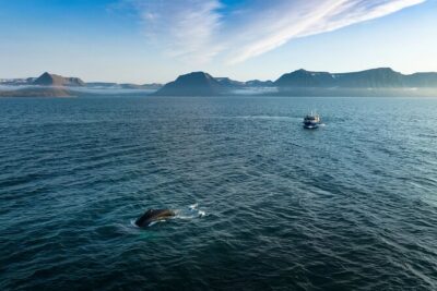 Westfjords Whale Watching - Boarding the Vessel: What Comfort Looks Like When the Deck Is the View